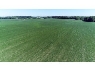 Property photo 5 - PREMIER LAND AUCTION - 277+/- ACRES OFFERED IN 6 TRACTS OR COMBINATIONS IN RUSH COUNTY, RUSHVILLE, IN