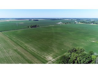 Property photo 7 - PREMIER LAND AUCTION - 277+/- ACRES OFFERED IN 6 TRACTS OR COMBINATIONS IN RUSH COUNTY, RUSHVILLE, IN