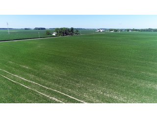 Property photo 8 - PREMIER LAND AUCTION - 277+/- ACRES OFFERED IN 6 TRACTS OR COMBINATIONS IN RUSH COUNTY, RUSHVILLE, IN