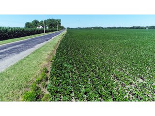 Property photo 9 - PREMIER LAND AUCTION - 277+/- ACRES OFFERED IN 6 TRACTS OR COMBINATIONS IN RUSH COUNTY, RUSHVILLE, IN