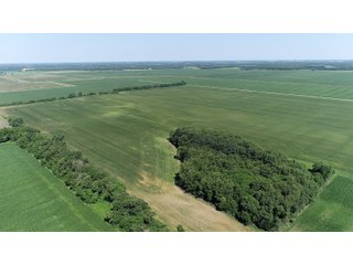 Property photo 9 - LAND AUCTION 117+/- ACRES OFFERED IN 1 TRACT IN WHITE COUNTY, IN
