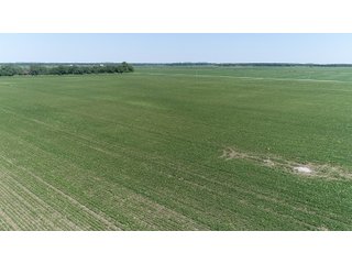 Property photo 19 - LAND AUCTION 117+/- ACRES OFFERED IN 1 TRACT IN WHITE COUNTY, IN
