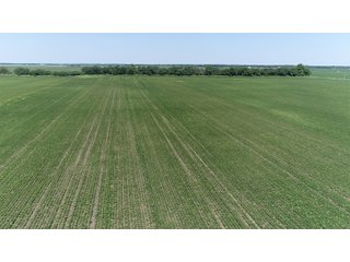 Property photo 18 - LAND AUCTION 117+/- ACRES OFFERED IN 1 TRACT IN WHITE COUNTY, IN