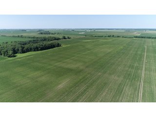 Property photo 17 - LAND AUCTION 117+/- ACRES OFFERED IN 1 TRACT IN WHITE COUNTY, IN