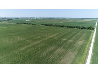 Property photo 16 - LAND AUCTION 117+/- ACRES OFFERED IN 1 TRACT IN WHITE COUNTY, IN