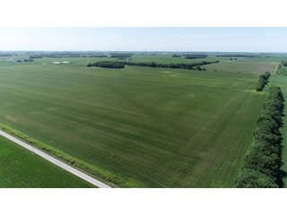 Property photo 15 - LAND AUCTION 117+/- ACRES OFFERED IN 1 TRACT IN WHITE COUNTY, IN
