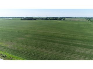 Property photo 14 - LAND AUCTION 117+/- ACRES OFFERED IN 1 TRACT IN WHITE COUNTY, IN