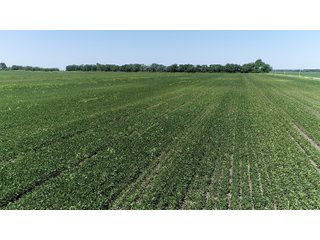 Property photo 13 - LAND AUCTION 117+/- ACRES OFFERED IN 1 TRACT IN WHITE COUNTY, IN