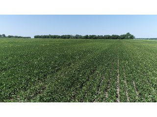 Property photo 10 - LAND AUCTION 117+/- ACRES OFFERED IN 1 TRACT IN WHITE COUNTY, IN