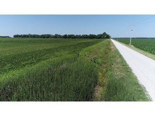 Property photo 11 - LAND AUCTION 117+/- ACRES OFFERED IN 1 TRACT IN WHITE COUNTY, IN
