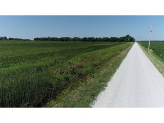 Property photo 12 - LAND AUCTION 117+/- ACRES OFFERED IN 1 TRACT IN WHITE COUNTY, IN