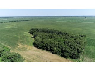 Property photo 8 - LAND AUCTION 117+/- ACRES OFFERED IN 1 TRACT IN WHITE COUNTY, IN
