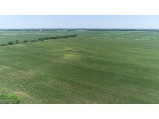 Property photo 7 - LAND AUCTION 117+/- ACRES OFFERED IN 1 TRACT IN WHITE COUNTY, IN