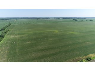 Property photo 6 - LAND AUCTION 117+/- ACRES OFFERED IN 1 TRACT IN WHITE COUNTY, IN
