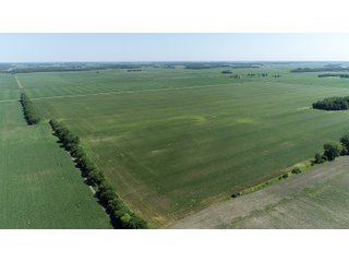 Property photo 5 - LAND AUCTION 117+/- ACRES OFFERED IN 1 TRACT IN WHITE COUNTY, IN