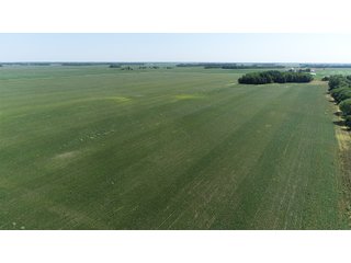 Property photo 4 - LAND AUCTION 117+/- ACRES OFFERED IN 1 TRACT IN WHITE COUNTY, IN