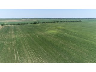 Property photo 3 - LAND AUCTION 117+/- ACRES OFFERED IN 1 TRACT IN WHITE COUNTY, IN