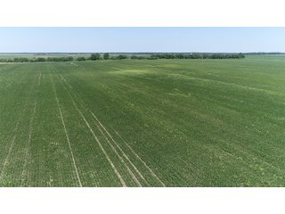 Property photo 2 - LAND AUCTION 117+/- ACRES OFFERED IN 1 TRACT IN WHITE COUNTY, IN