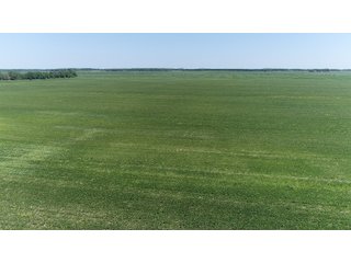 Property photo 1 - LAND AUCTION 117+/- ACRES OFFERED IN 1 TRACT IN WHITE COUNTY, IN