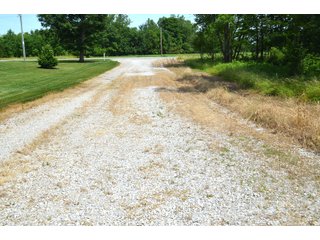 Property photo 39 - FARMLAND AUCTION 175+/- ACRES OFFERED IN 6 TRACTS IN DEFIANCE COUNTY, OH