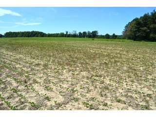 Property photo 40 - FARMLAND AUCTION 175+/- ACRES OFFERED IN 6 TRACTS IN DEFIANCE COUNTY, OH