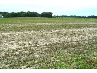 Property photo 44 - FARMLAND AUCTION 175+/- ACRES OFFERED IN 6 TRACTS IN DEFIANCE COUNTY, OH