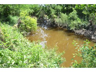 Property photo 63 - FARMLAND AUCTION 175+/- ACRES OFFERED IN 6 TRACTS IN DEFIANCE COUNTY, OH