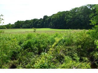 Property photo 64 - FARMLAND AUCTION 175+/- ACRES OFFERED IN 6 TRACTS IN DEFIANCE COUNTY, OH