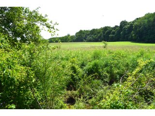 Property photo 65 - FARMLAND AUCTION 175+/- ACRES OFFERED IN 6 TRACTS IN DEFIANCE COUNTY, OH