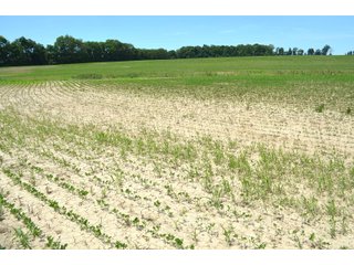 Property photo 66 - FARMLAND AUCTION 175+/- ACRES OFFERED IN 6 TRACTS IN DEFIANCE COUNTY, OH