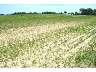 Property photo 68 - FARMLAND AUCTION 175+/- ACRES OFFERED IN 6 TRACTS IN DEFIANCE COUNTY, OH