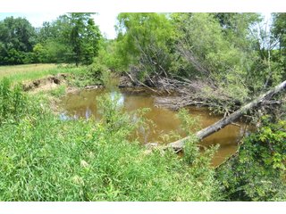 Property photo 69 - FARMLAND AUCTION 175+/- ACRES OFFERED IN 6 TRACTS IN DEFIANCE COUNTY, OH