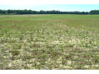 Property photo 72 - FARMLAND AUCTION 175+/- ACRES OFFERED IN 6 TRACTS IN DEFIANCE COUNTY, OH