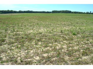 Property photo 73 - FARMLAND AUCTION 175+/- ACRES OFFERED IN 6 TRACTS IN DEFIANCE COUNTY, OH
