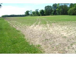 Property photo 77 - FARMLAND AUCTION 175+/- ACRES OFFERED IN 6 TRACTS IN DEFIANCE COUNTY, OH