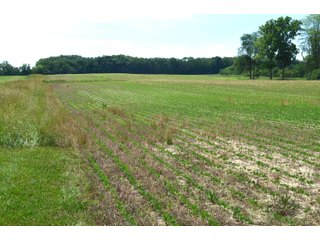 Property photo 78 - FARMLAND AUCTION 175+/- ACRES OFFERED IN 6 TRACTS IN DEFIANCE COUNTY, OH