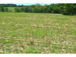 Property photo 83 - FARMLAND AUCTION 175+/- ACRES OFFERED IN 6 TRACTS IN DEFIANCE COUNTY, OH