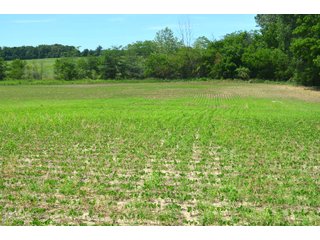 Property photo 85 - FARMLAND AUCTION 175+/- ACRES OFFERED IN 6 TRACTS IN DEFIANCE COUNTY, OH
