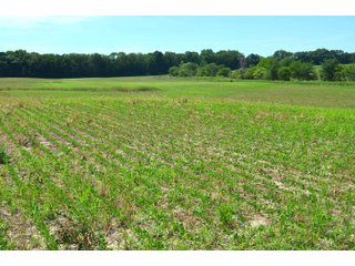 Property photo 87 - FARMLAND AUCTION 175+/- ACRES OFFERED IN 6 TRACTS IN DEFIANCE COUNTY, OH