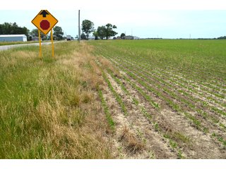 Property photo 88 - FARMLAND AUCTION 175+/- ACRES OFFERED IN 6 TRACTS IN DEFIANCE COUNTY, OH