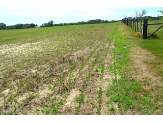 Property photo 89 - FARMLAND AUCTION 175+/- ACRES OFFERED IN 6 TRACTS IN DEFIANCE COUNTY, OH