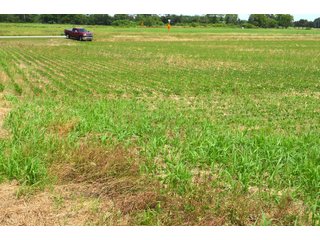 Property photo 93 - FARMLAND AUCTION 175+/- ACRES OFFERED IN 6 TRACTS IN DEFIANCE COUNTY, OH