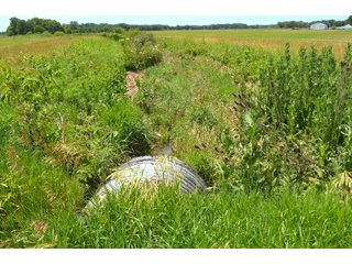 Property photo 99 - FARMLAND AUCTION 175+/- ACRES OFFERED IN 6 TRACTS IN DEFIANCE COUNTY, OH