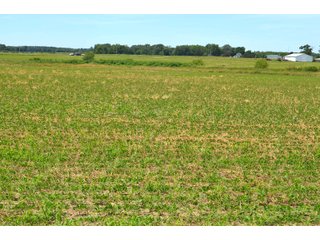 Property photo 103 - FARMLAND AUCTION 175+/- ACRES OFFERED IN 6 TRACTS IN DEFIANCE COUNTY, OH