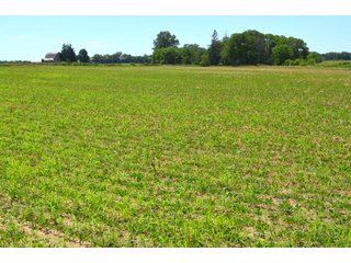 Property photo 104 - FARMLAND AUCTION 175+/- ACRES OFFERED IN 6 TRACTS IN DEFIANCE COUNTY, OH