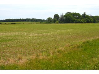Property photo 110 - FARMLAND AUCTION 175+/- ACRES OFFERED IN 6 TRACTS IN DEFIANCE COUNTY, OH