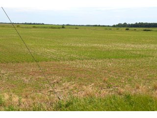 Property photo 111 - FARMLAND AUCTION 175+/- ACRES OFFERED IN 6 TRACTS IN DEFIANCE COUNTY, OH