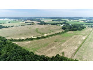 Property photo 113 - FARMLAND AUCTION 175+/- ACRES OFFERED IN 6 TRACTS IN DEFIANCE COUNTY, OH