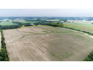Property photo 12 - FARMLAND AUCTION 175+/- ACRES OFFERED IN 6 TRACTS IN DEFIANCE COUNTY, OH