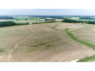 Property photo 13 - FARMLAND AUCTION 175+/- ACRES OFFERED IN 6 TRACTS IN DEFIANCE COUNTY, OH
